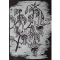 Framed, Signed and Dated Gregoire Boonzaier `Hibiscus` Linocut. 51 cm x 41 cm.