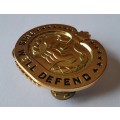 U.S. Army Drill Sergeant Badge. `THIS WE`LL DEFEND`. Pins Intact.