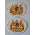 Pair SA Navy Warrant Officer Class 1 Badges.