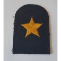 Vintage SA Navy Able Seaman Badge.