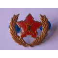SADF 5 Year Voluntary Service Badge. Pins Intact.