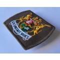 SADF Warrant Officer Class 2 Badge.