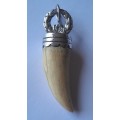 Antique Large Solid Silver Lion`s Tooth Amulet.