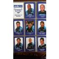 Cards - Vodacom Bulls - 2010 Super 14 Winners