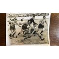 1963 Springboks vs Wallabies Original Action Photo, details below