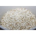 Quinoa Seeds - 200 White Quinoa Seeds