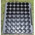 Seedling Trays 48 Division - Seed Trays
