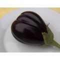 Brinjal (Aubergine) Black Beauty - 100 Brinjal Seeds
