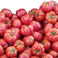 Tomato Seeds - Marmande Heirloom 20 Tomato Seeds