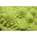 Broccoli Romanesco - 25 Heirloom Romanesco Seeds