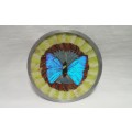 Vintage decorative Morpho Butterfly wing metal plate