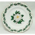 Lovely Royal Albert Lady Clare side plate