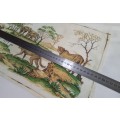 Kruger park - Excellent condition vintage tray cloth - cheetahs