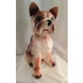 Gorgeous vintage doggie looking for a good home