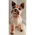 Gorgeous vintage doggie looking for a good home