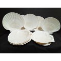 12 Vintage shells for serving a starter