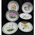 Six Stunning Portmeirion Botanic Garden side plates