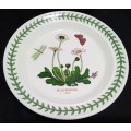 Six Stunning Portmeirion Botanic Garden side plates