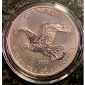 CANADA 1OZ SILVER 5 DOLLAR - AMAZING TONING WHITEHEAD EAGLE - 2014 UNC .999 SILVER COMES IN CAPSULE