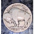 U S A - 5 CENT INDIAN HEAD BUFFALO NO DATE 1913