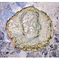 ROMAIN EMPIRE COIN 31BC - 476AD ANCIENT COIN