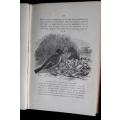 Charles Darwin - De Afstamming van den Mensch. 1871/2. 1st Dutch edition. 2 Vols.