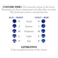 THE VAULT Proudly Offers 2Pcs Natural TANZANITES - 0.87tcw - Eye Clean - Bluish Violet - Intense