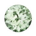 THE VAULT PRECIOUS JEWELS Offers an  "UNHEATED" 100% Natural GREEN TANZANITE - 0.70ct - TOP CUT