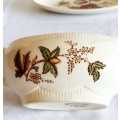 Vintage Clarice Cliff Georgian Spray Pattern Gravy Boat and Drip Plate - Marked