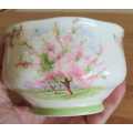 Royal Albert Blossom Time Sugar Bowl - c.40`s - Discontinued