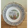 Royal Albert Silver Birch Cake/Side Plate - Discontinued -VGC