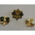 SA Police badges x3