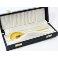 Vintage Gold-Plated Spoon in Original Case