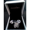 Pandora Charms