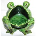 Cute Ceramic Frog
