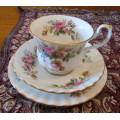ROYAL ALBERT MOSS ROSE 22 PIECE TEA SET with Tea Pot
