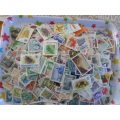 1000 X CANADA  AND MIXED WORLD STAMPS OFF PAPER SEE PICS