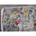 1000 X WORLD USED STAMPS OFF PAPER NEAT LOT SEE PICS