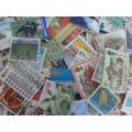 1000 X MIXED WORLD STAMPS OFF PAPER A GREAT LOT SEE PICS
