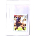 2002 World Cup Ronaldo Sticker #61