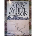 Andre P Brink -  A dry white season