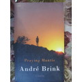 Andre P Brink -  Praying Mantis