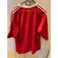 British and Irish Lions 2005 Replica Jersey, Large