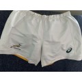 Springbok match worn shorts. 3XL