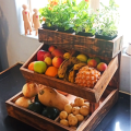 Showcase or Herb/ Fruit/ Vegetable Box  or Art/Stationay/ Household Organizer