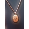 Stunning Gold locket and chain