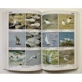 Sea Birds of the World - Peter Harrison. Softcover, Reprint (2003)