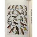 Roberts Birds of South Africa - Rev. by McLachlan & Liversidge. Hardcover w/dj, Rev Ed. 2nd Pr. 1958