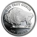 1oz American Buffalo/ Indian Head | RMC Mintmark |.999 Fine Silver Bullion Round | Buy Now R525 each