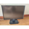LG 19` 1440 x 900 Black Display L192WS
